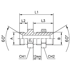 Steel Bulkhead Straight, Male BSPP -16 X Male BSPP -16