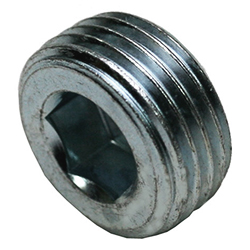 SS316L Plug Socket Head, Male BSPT -04