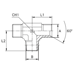 SS316L Branch Tee, Male BSPP -02 X Male BSPP -02 X Male BSPT -02