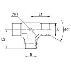 SS316L Branch Tee, Male BSPP -02 X Male BSPP -02 X Male NPT -02