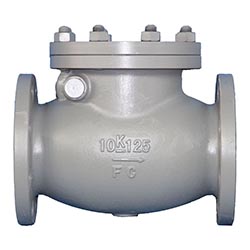 Swing Check Valve, 5K80A, Body: Cast Iron, Trim: Bronze, L=250mm