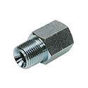 Steel Straight Adapter | Male NPT 1 x Female BSPP 1